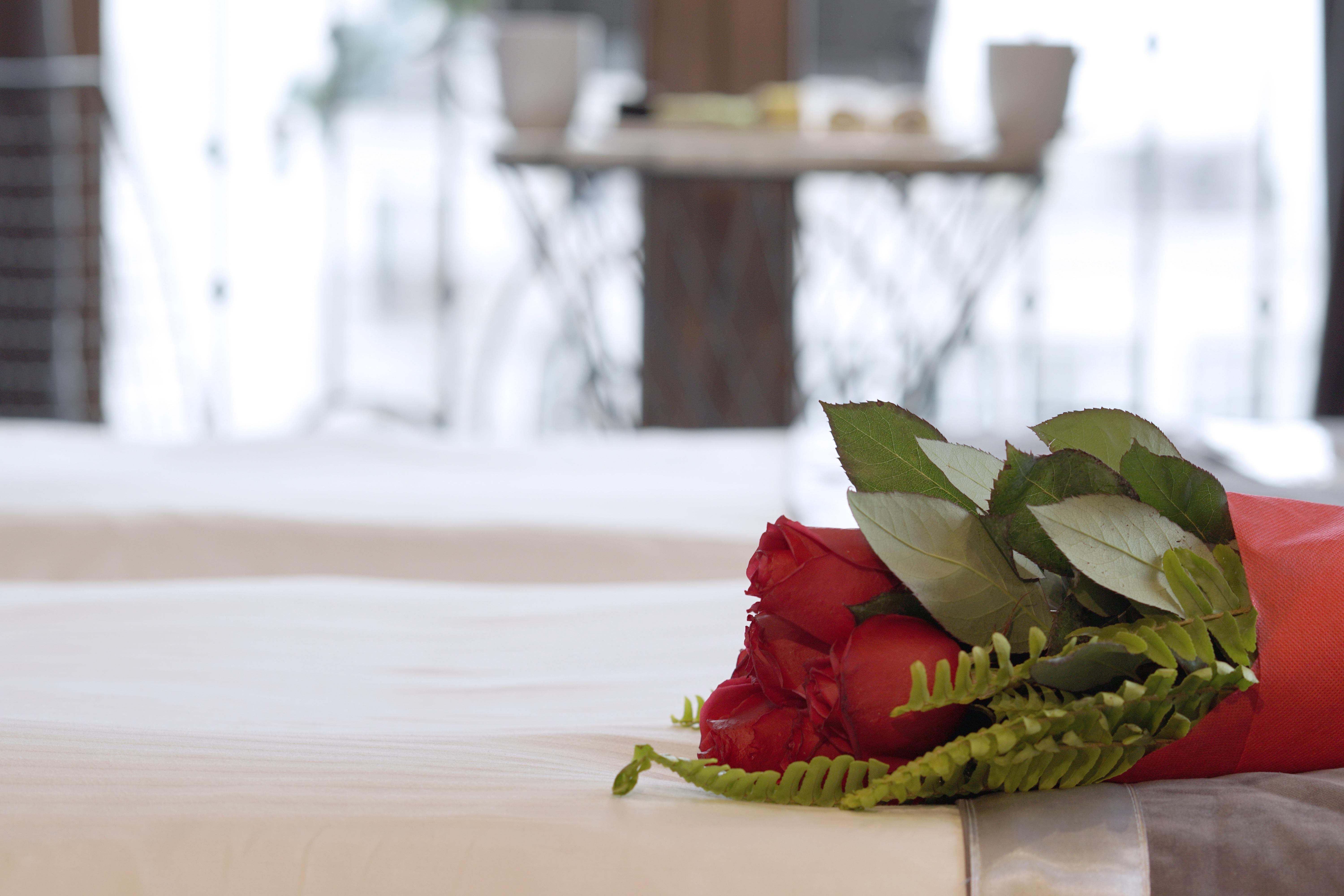 Parmada Hotel İstanbul Dış mekan fotoğraf
